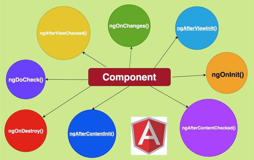 sequence of Angular lifecycle hooks