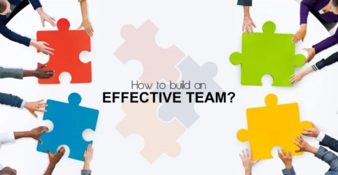 What steps would you take to help make your teams more effective?