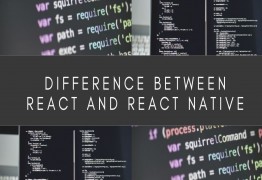 Difference between React and React native?